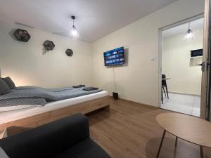 ein Schlafzimmer mit einem Bett und einem Fernseher an der Wand in der Unterkunft Hanna Apartman in Debrecen