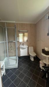 a bathroom with a shower and a toilet and a sink at BUDGET Kvamseter Lodge in Eikjedalen