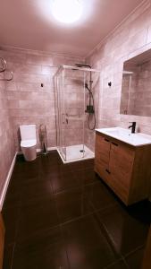 a bathroom with a shower and a toilet and a sink at Apartamentos villa Carolina in Porriño