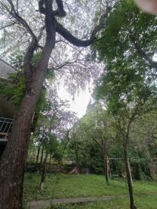 Galería fotográfica de Dacha Haus en Vanadzor
