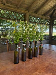 Kebun di luar Nocleg na skraju puszczy