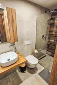 扬斯凯拉兹涅Apartment Ski&Bike Siréna-5 by Interhome的浴室里有马桶、洗手池和淋浴。