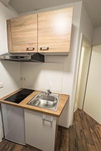 Dapur atau dapur kecil di Apartment Mentenwirt by Interhome