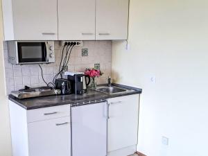 Una cocina o cocineta en Apartment Wohnung 414 Bergblick by Interhome 23 fotos más