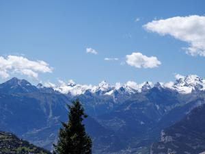 a view of a mountain range with a tree in the foreground at Apartment Hortensia 10 by Interhome in Veysonnaz