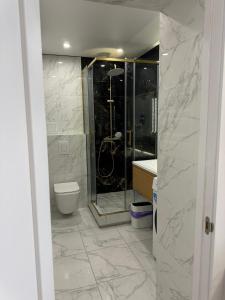 a bathroom with a shower and a toilet at Chornomorsk Apartment in Chornomorsk +6 photos