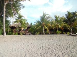 a sandy beach with palm trees and a resort at Sea World Club Beach Resort & Dive Center in Maumere