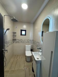 Phòng tắm tại Kamberovi house Kalofer Къща Камберови Калофер