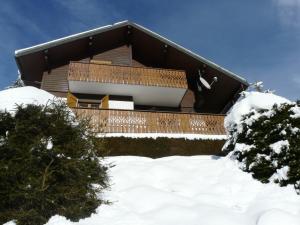 Chalet Loupnots 3P avec vue v zimě