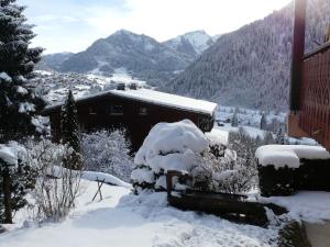 Chalet Loupnots 3P avec vue v zimě