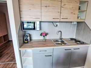 a small kitchen with a sink and a microwave at Apartment Wohnung 413 Bergblick by Interhome in Strobl