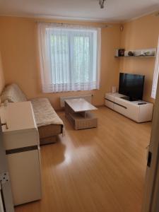 Una sala de estar con un sofá y un televisor de pantalla plana. en Gdańsk Cozy Loft, en Gdansk