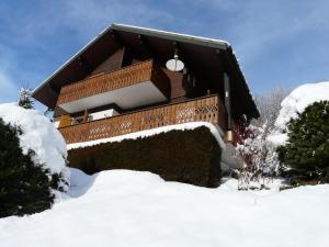 Chalet Loupnots 2P avec vue v zimě