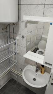 a white bathroom with a toilet and a sink at Smeštaj Golubica in Soko Banja +8 photos