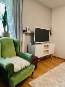 a living room with a green chair and a television at Ferienwohnung "Casa Schulzini" im Marburger Südviertel in Marburg an der Lahn