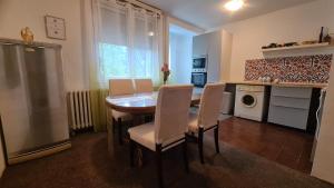 a kitchen with a table and chairs in a kitchen at Lovely apartment near NS Fair in Novi Sad