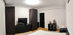 Μια τηλεόραση ή/και κέντρο ψυχαγωγίας στο VSD Apartment