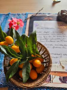 a basket of oranges with a plant in it at Loft La Mística in San Antonio de Areco