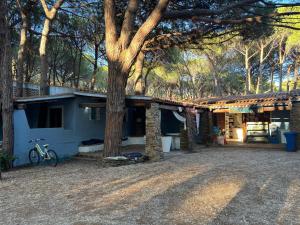 Imagen de la galería de Happy Camp mobile homes in Selema Camping, en Santa Lucia 12 fotos más