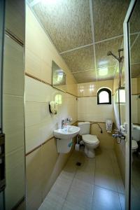 a bathroom with a toilet and a sink at Complex Magiyata na Rila in Rilski Manastir +68 photos