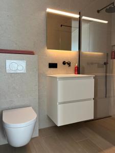 a bathroom with a toilet and a sink and a mirror at El Mirador - Quality Stay in Ostend +35 photos