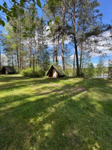 a grassy field with a tent in the middle of a forest at Stanica Wodna Płaska in Płaska