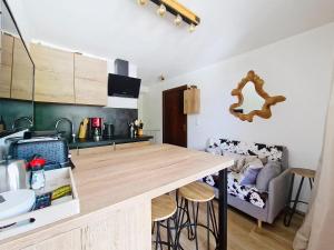 シャテルにあるToison Blanche TBA3 COSY & Mountain 4 Persの部屋にある木製のカウンタートップを備えたキッチン