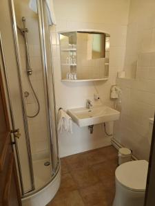 a bathroom with a sink and a shower and a toilet at Gästehaus Einzinger in Krems an der Donau