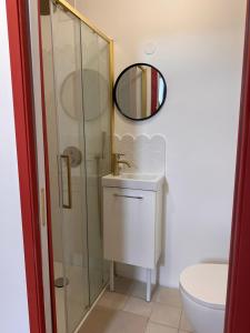 a bathroom with a shower and a sink and a mirror at Studio urbain et fonctionnel in Périgueux
