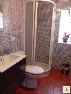 a bathroom with a toilet and a shower and a sink at Casa La Abuela 1982 in La Iruela