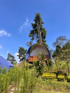 a dome building in the middle of a field at Dieng glamping syari'ah in Dieng
