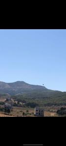 a view of a field with mountains in the distance at Elmerzougui in Azla