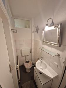 a bathroom with a toilet and a sink and a mirror at Ferienappartements Haus Jörn in Wieda +10 photos