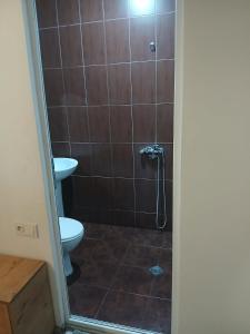 a bathroom with a shower with a toilet and a sink at Khatia's Guest House in K'obulet'i +10 photos