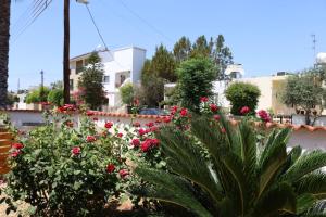 a garden with red and white flowers and a fence at Omega Suites By Platform 357 in Ayios Dhometios