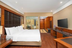 TV at/o entertainment center sa Radisson Blu Plaza Delhi Airport