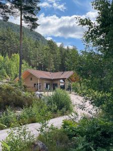 una casa in mezzo a una foresta di Furuheim Lodge, 4 seizoenen vakantiehuis met fantastisch uitzicht a Vrådal