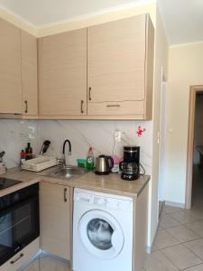 a kitchen with a washing machine in a kitchen at GEOMELOS Georgios APARTMENTS CHIOS in Chios