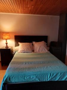 a bedroom with a bed with a wooden ceiling at Ma chambre en Lozère, independante & patio "Tata Gene" in Ispagnac
