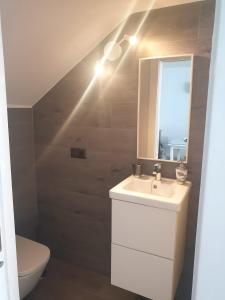 Un baño con lavabo, espejo e inodoro. en Apartamentos Serranía, en Ronda 13 fotos más
