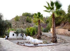 un gruppo di palme di fronte a una casa di Villa Natura Paradise a Alcolea Altre 33 foto
