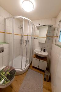 a bathroom with a shower and a sink at Roter Fuchsbau am Eichwald in Gossersweiler-Stein +38 photos