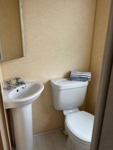a bathroom with a toilet and a sink at Number 51 in Arbroath