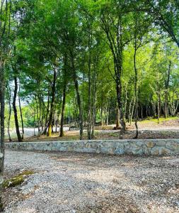 Gallery image of Camp Katunjanka in Danilovgrad