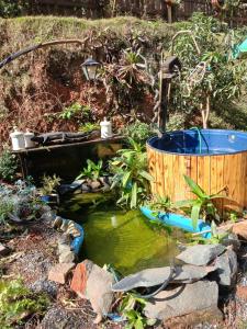 a garden with a pond and a wooden barrel at perfume da mata caparaó in Caparaó Velho