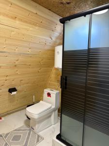 a bathroom with a toilet and a wooden wall at KolsayNestAframe in Saty +14 photos