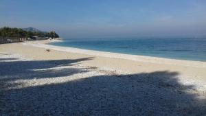 a shadow of a tree on the beach at Affittacamere di Ilir in Ancona