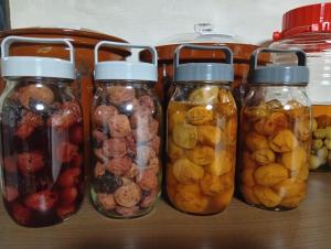 a group of jars filled with different types of food at 横城ゲストハウス 自然豊かなプライベート空間 古民家一棟貸しの宿 in Kitsuki