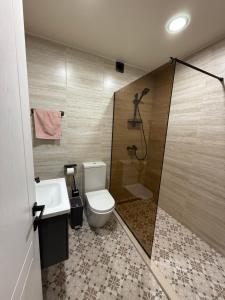 Un baño con ducha, inodoro y lavabo. en VictoryStreetApartment, en Kutaisi 4 fotos más