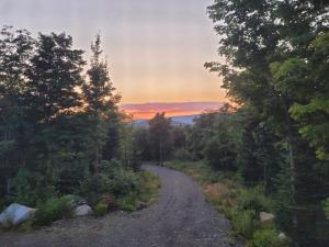 Phong cảnh thiên nhiên gần căn hộ +11 ảnh